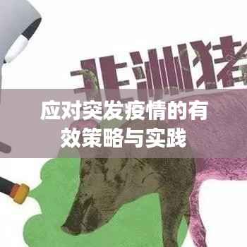 应对突发疫情的有效策略与实践