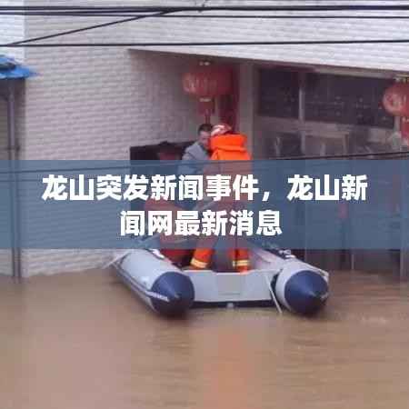 龙山突发新闻事件,龙山新闻网最新消息