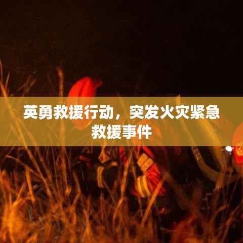 英勇救援行动,突发火灾紧急救援事件