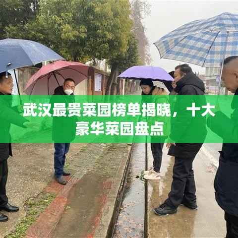 武汉最贵菜园榜单揭晓,十大豪华菜园盘点