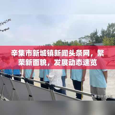 辛集市新城镇新闻头条网,繁荣新面貌,发展动态速览