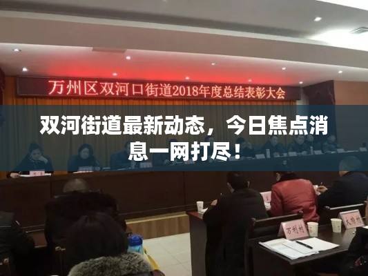 双河街道最新动态,今日焦点消息一网打尽!