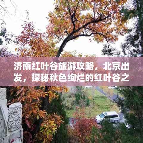 济南红叶谷旅游攻略,北京出发,探秘秋色绚烂的红叶谷之旅