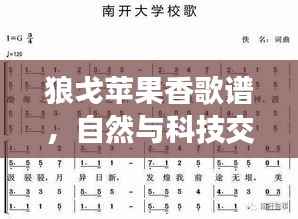 狼戈苹果香歌谱,自然与科技交织的美妙旋律