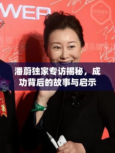 潘蔚独家专访揭秘,成功背后的故事与启示