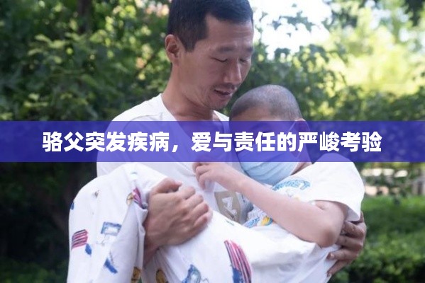 骆父突发疾病，爱与责任的严峻考验