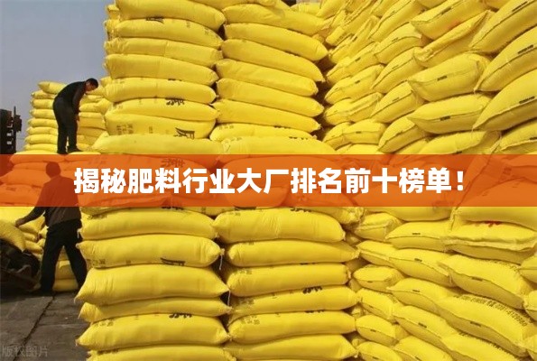 shengruhongzhong 第8页