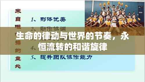 生命的律动与世界的节奏,永恒流转的和谐旋律