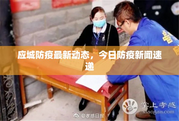 应城防疫最新动态，今日防疫新闻速递