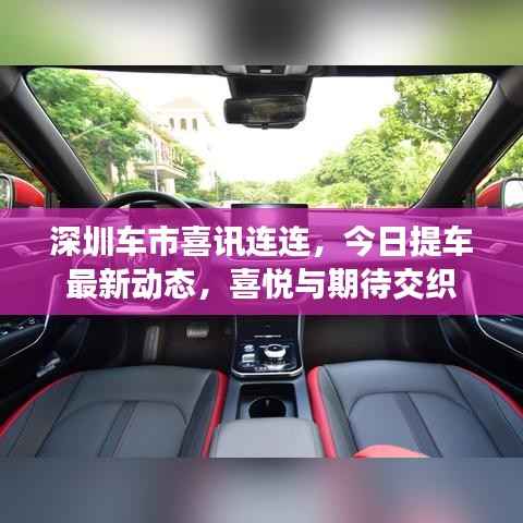 深圳车市喜讯连连,今日提车最新动态,喜悦与期待交织