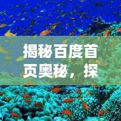 揭秘百度首页奥秘,探索搜索巨头核心魅力
