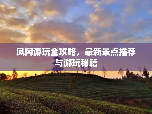 凤冈游玩全攻略,最新景点推荐与游玩秘籍