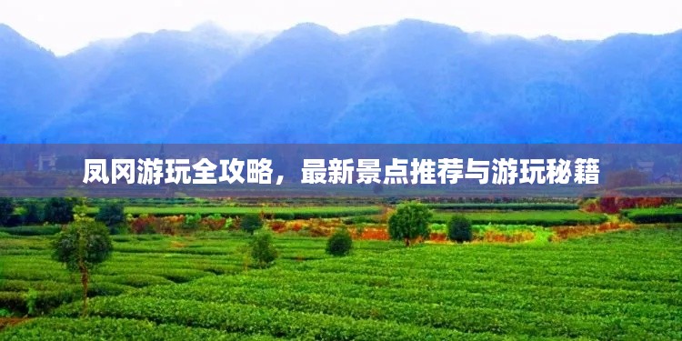 凤冈游玩全攻略,最新景点推荐与游玩秘籍
