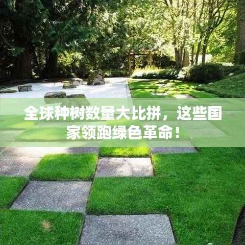 全球种树数量大比拼,这些国家领跑绿色革命!