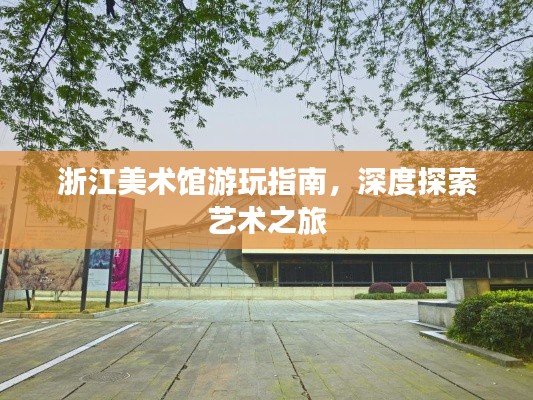 浙江美术馆游玩指南，深度探索艺术之旅