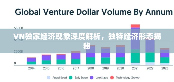 VN独家经济现象深度解析,独特经济形态揭秘