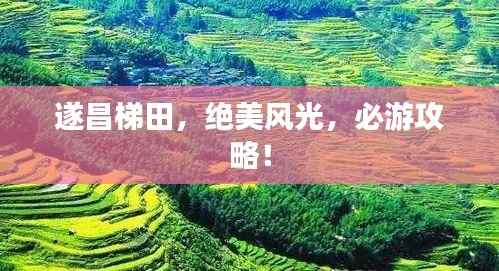 遂昌梯田,绝美风光,必游攻略!