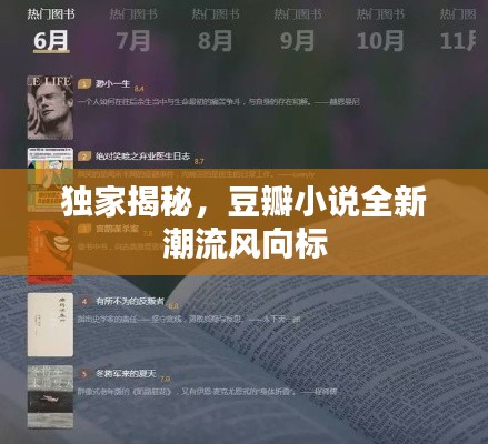 独家揭秘,豆瓣小说全新潮流风向标