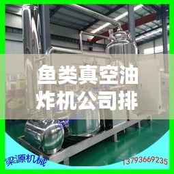 鱼类真空油炸机公司排名解析,行业领导者一览